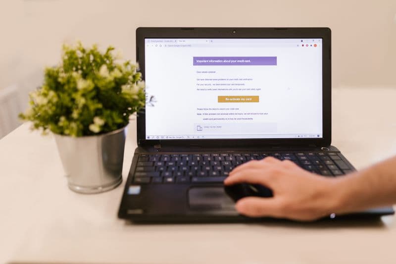 Como emitir NFS-e em Florianópolis: passo a passo Person using a laptop to read an email indoors beside a potted plant.